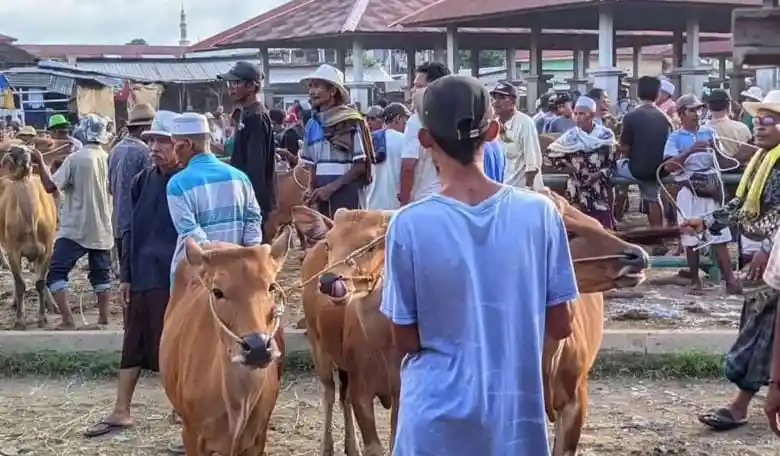 Pasar hewan di Masbagik Lombok Timur Lotim