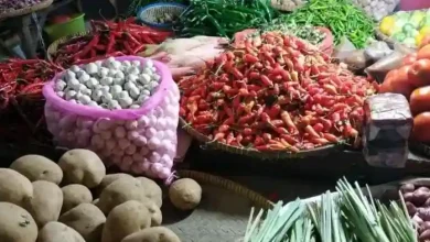 Cabai rawit salah satu komoditas penyumbang kenaikan harga di Lombok Timur
