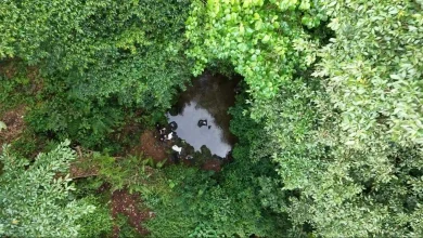 Goa Pengkoak di Taman Hutan Raya Nuraksa Narmada