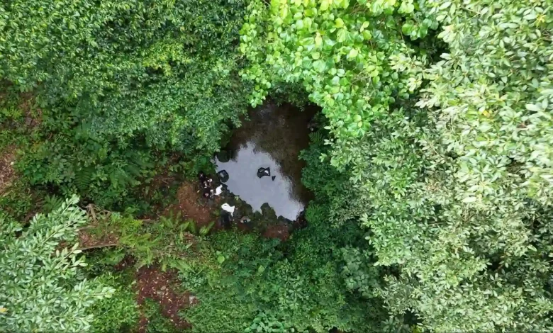 Goa Pengkoak di Taman Hutan Raya Nuraksa Narmada