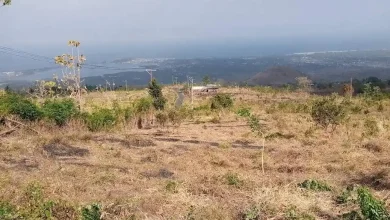 Petani Desa Jeringo Lombok Timur Tinggalkan 200 Hektare Lahan