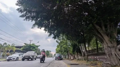 Bupati Iron Perintahkan Pangkas Ranting Pohon Jalan