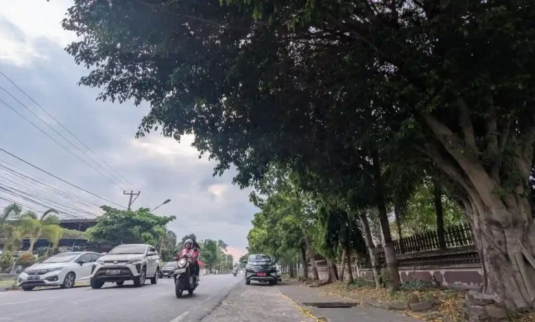 Bupati Iron Perintahkan Pangkas Ranting Pohon Jalan