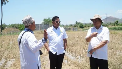 Bupati Iron Pastikan Sekolah Garuda Dibangun di Pringgabaya