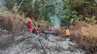 Kebakaran di kawasan Rinjani