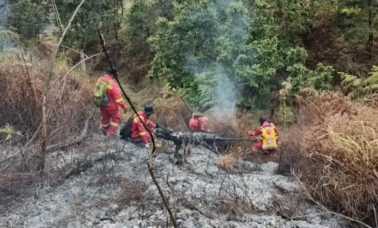 Kebakaran di kawasan Rinjani