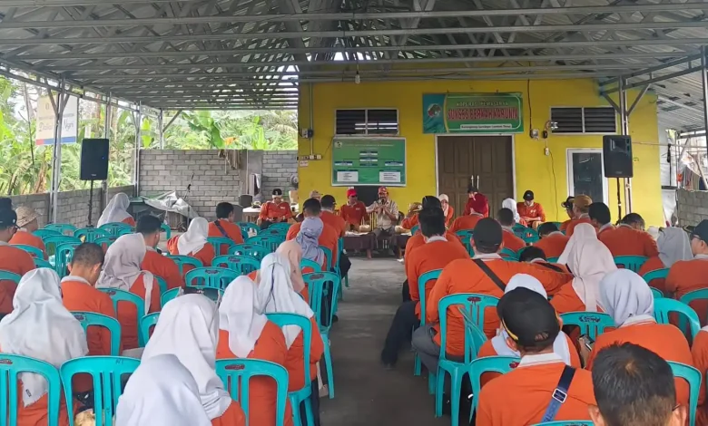 Kunjungan TPID Kota Mataram ke Champion Cabai Desa Suralaga Lombok Timur