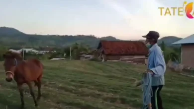 kegiatan masayarakat Desa Tatebal Sumbawa