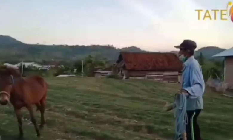 kegiatan masayarakat Desa Tatebal Sumbawa