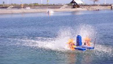 Ilustrasi tambak udang di Desa Motong. ]