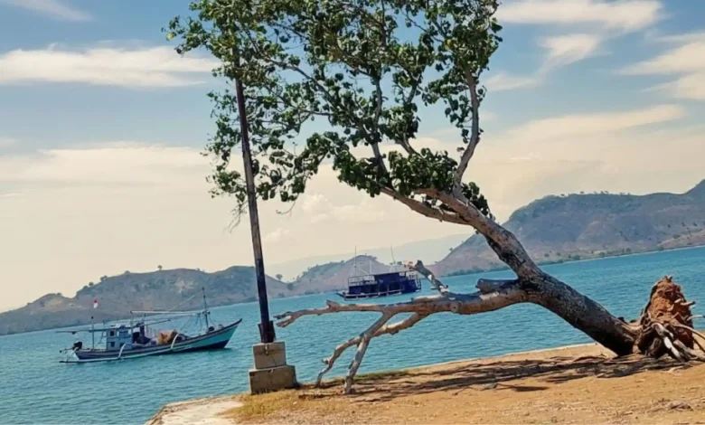 Keindahan Desa Teluk Santong Sumbawa
