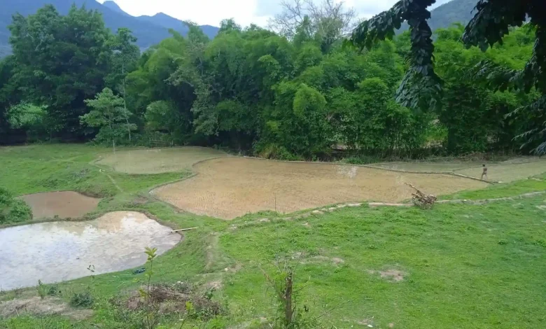 Lahan Pertanian Desa Mungkin Sumbawa