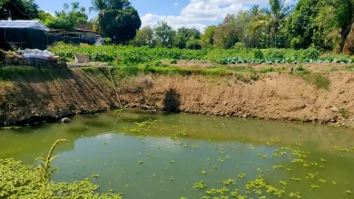 Penampung Cadangan Irigasi di Desa Semamung Sumbawa