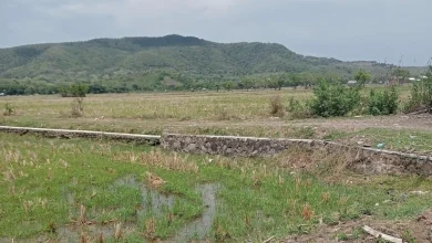 Pertanian di Desa Songkar