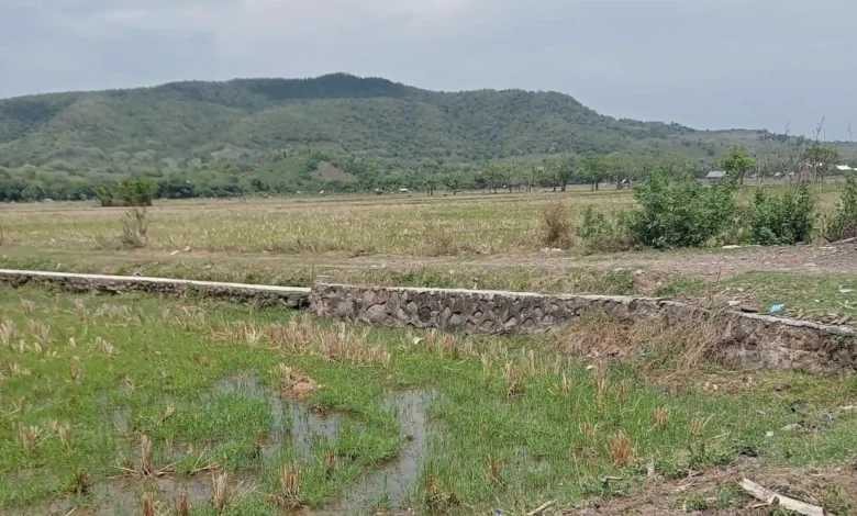 Pertanian di Desa Songkar