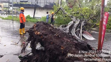 Pohon tumbang dan banjir di Lombok Tengah