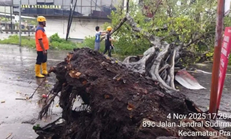 Pohon tumbang dan banjir di Lombok Tengah