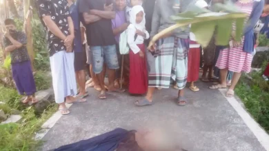 Warga Masbagik Digegerkan Temuan Orok Bayi di Tengah Jalan