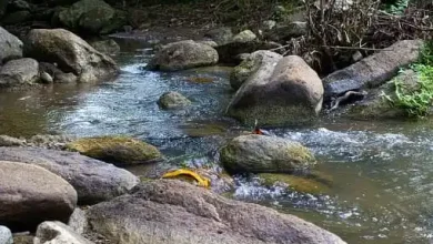 Penguatan Hidrologi di Sumbawa