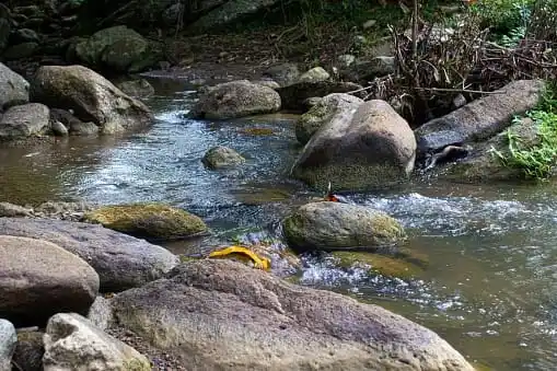 Penguatan Hidrologi di Sumbawa