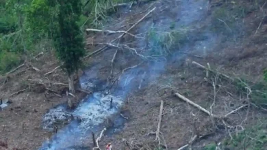 DPRD Kota Bima Keluarkan 9 Rekomendasi Hadapi Kerusakan Hutan di Kawasan Hulu