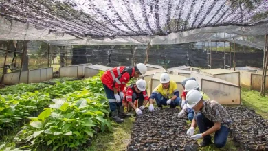 Ekonomi NTB Kegiatan Pembibitan