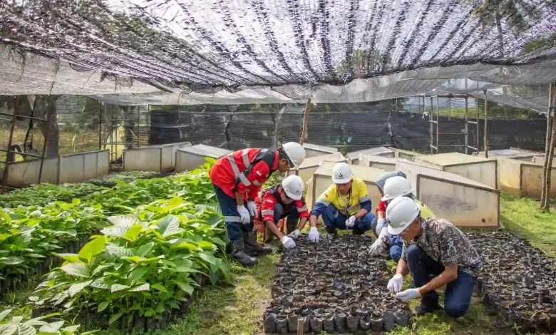 Ekonomi NTB Kegiatan Pembibitan
