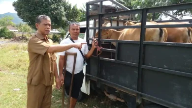 Desa Rempe Perkuat Sektor Pertanian hingga Infrastruktur untuk Kesejahteraan Warga