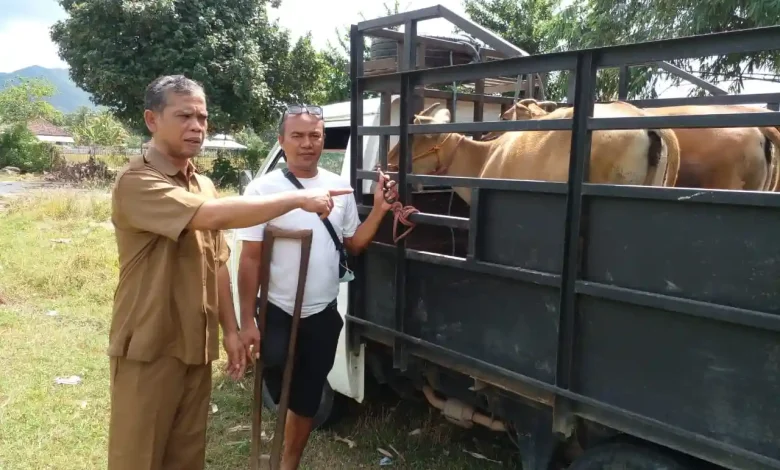 Desa Rempe Perkuat Sektor Pertanian hingga Infrastruktur untuk Kesejahteraan Warga