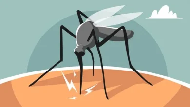 Kasus Malaria Masih Mengintai di NTB