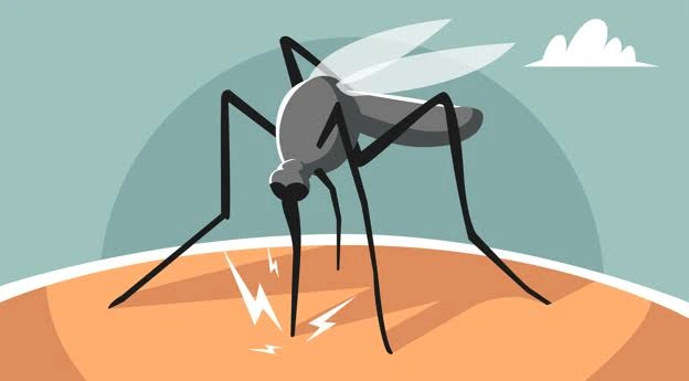 Kasus Malaria Masih Mengintai di NTB