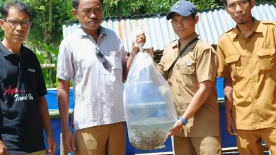 Desa Manemeng Perkuat Program Infrastruktur hingga Pemberdayaan Ekonomi Warga