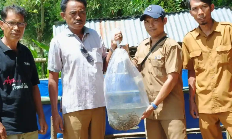 Desa Manemeng Perkuat Program Infrastruktur hingga Pemberdayaan Ekonomi Warga