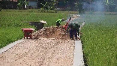 Jalan Usaha Tani Penting untuk Memajukan Ekonomi Desa Motong