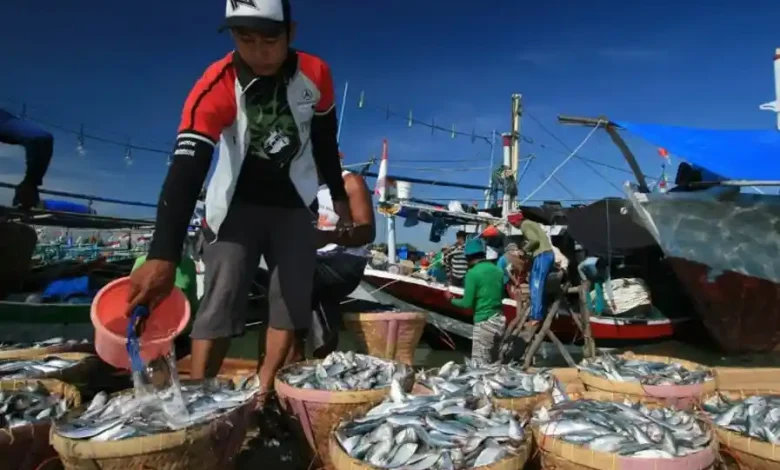 Perikanan di Desa Gontar Baru Sumbawa