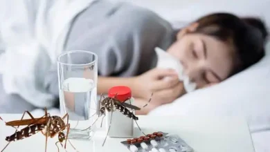 Kasus Malaria di Sumbawa