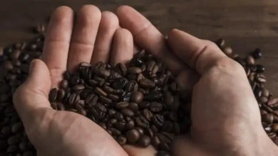 Pemdes Rarak Ronges Dorong Petani Kopi