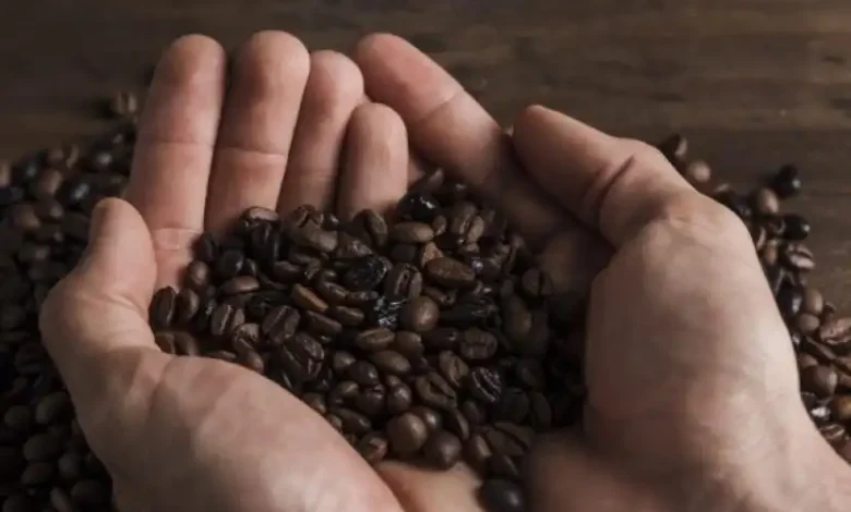 Pemdes Rarak Ronges Dorong Petani Kopi