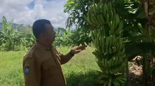 Talonang Baru Maksimalkan Dana Desa untuk Infrastruktur hingga Ketahanan Pangan