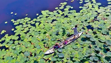 KSB Jadi Model Penguatan Ekonomi Desa di NTB