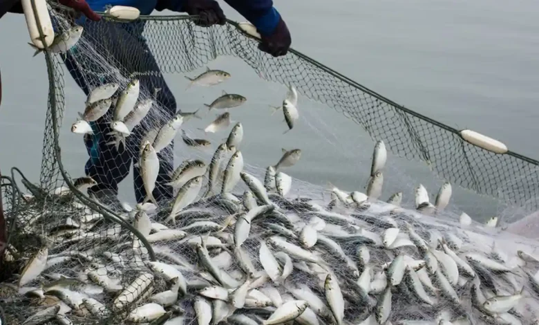 Desa Labuhan Sangoro Genjot Sektor Perikanan