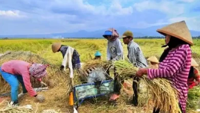 Desa Marga Karya Masuk Program Desa Berdaya