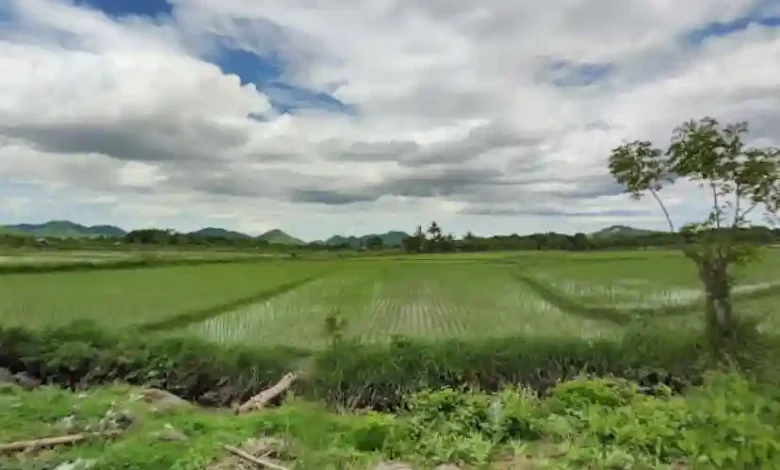 Sektor Pertanian Jadi Unggulan Desa Berora Sumbawa