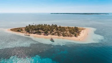 Pulau Bedil Kawasan Utan Alas Sumbawa