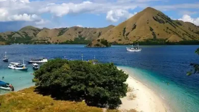 Kawasan Poto Tano-Maluk Ditetapkan sebagai Destinasi Pariwisata Strategis NTB