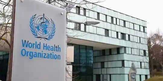 WHO PHK Ribuan Pegawai