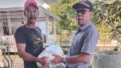 Desa Kalimantong Salurkan Bibit Ikan, Padi, dan Bantuan UMKM untuk Tekan Kemiskinan