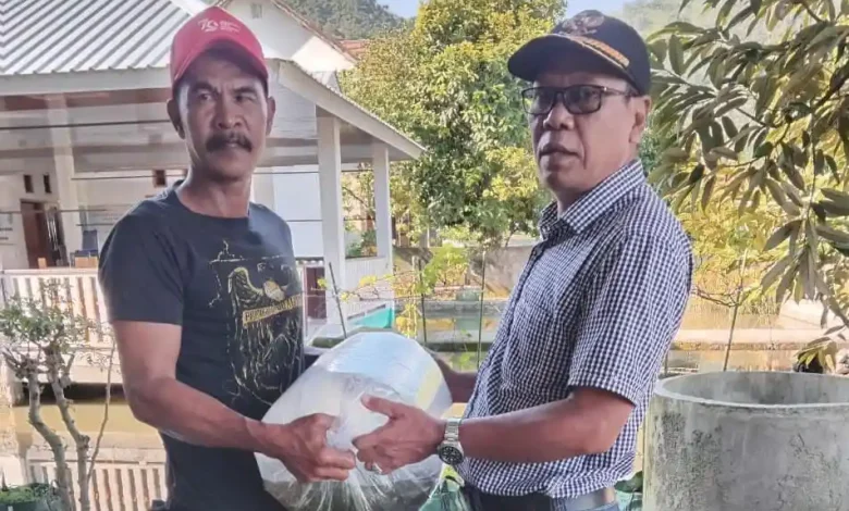 Desa Kalimantong Salurkan Bibit Ikan, Padi, dan Bantuan UMKM untuk Tekan Kemiskinan