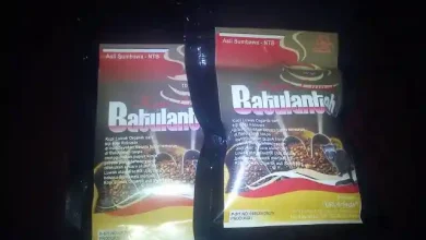 Desa Bao Desa Unggulkan Kopi sebagai Penggerak Ekonomi Masyarakat