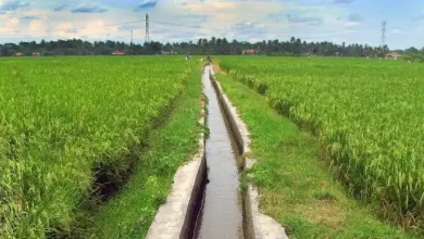 Infrastruktur Pertanian dan Kesehatan Jadi Fokus Utama Pemdes Seteluk Tengah